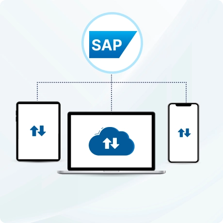 SAP Integration Overview SAP Integration Overview