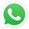 WhatsApp Business API