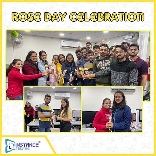 Rose Day Celebration