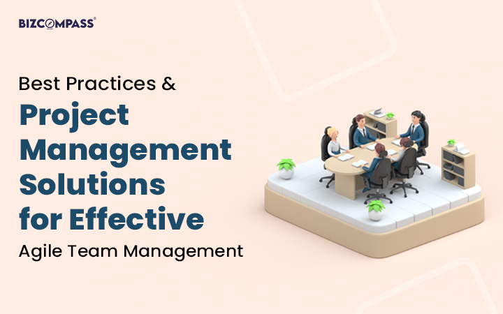  Best Practices and Project Management Solutions for Effective Agile Team Management