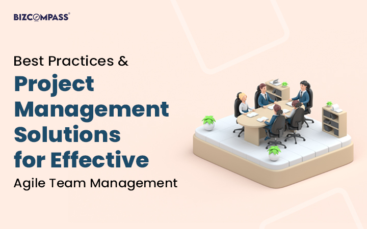 Best Practices for Project Management Solutions for Agile Teams