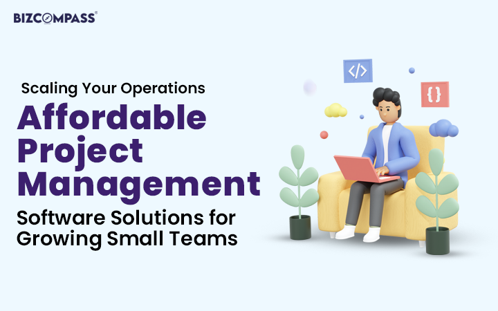 Scaling Your Operations: Affordable Project Management Software Solutions for Growing Small Teams